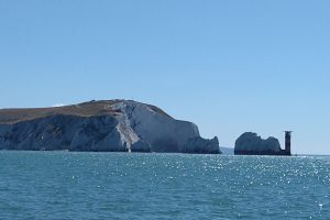 The needles The needles