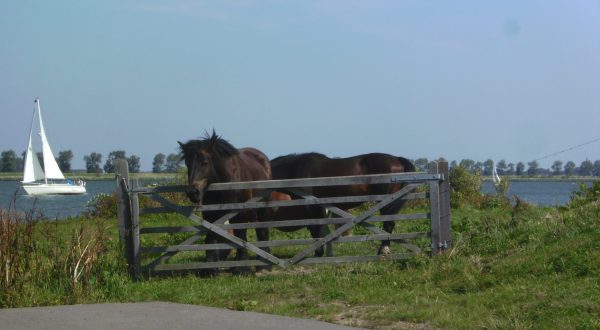 Tiengemeten